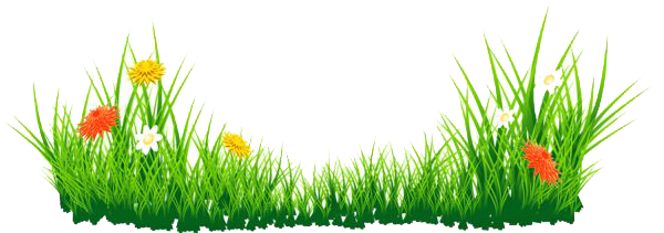 13-2-grass-png.png